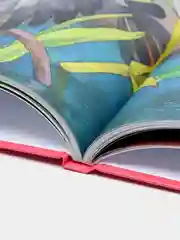 Любимые сказки малышам "Сорочьи сказки"