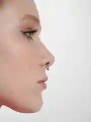 Септум на магнитах