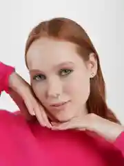 Септум на магнитах