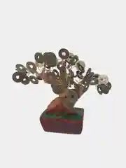 Денежное дерево