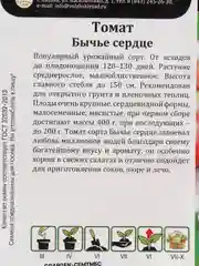 Томат " Бычье Сердце"