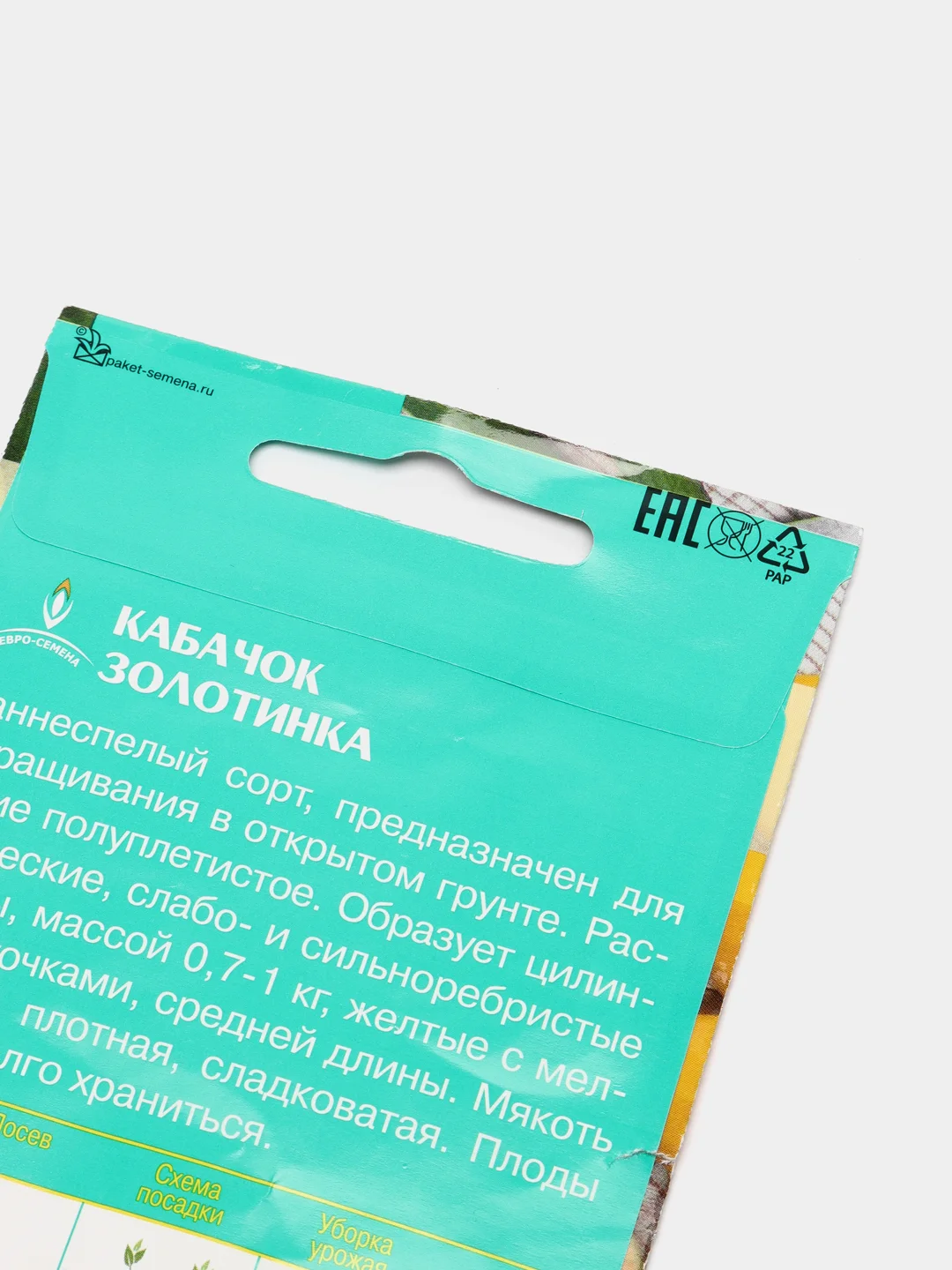 Кабачок " Золотинка" ( семена )
