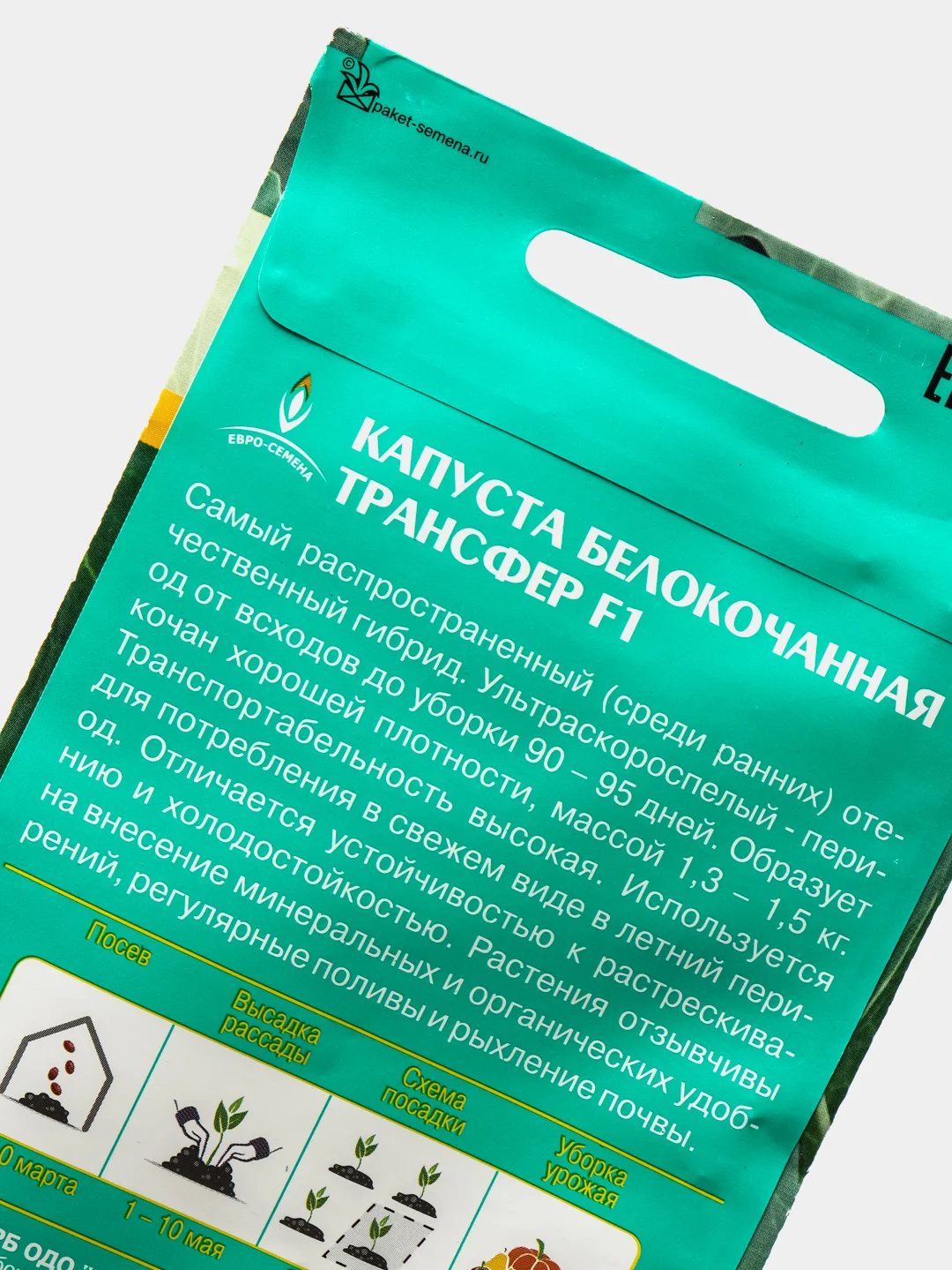 Капуста белокочанная " Трансфер" F1 ( семена )