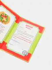 Диплом выпускника начальной школы