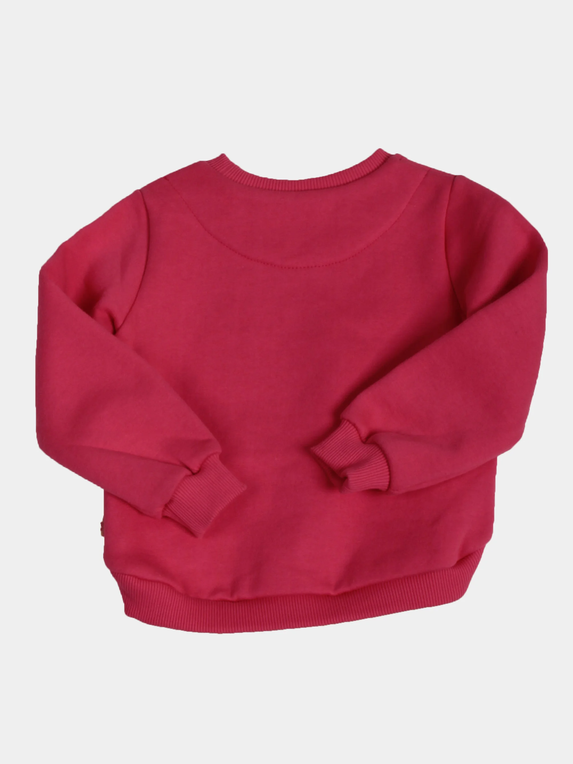 Фуксия толстовка для девочки Bonito Kids к. 46593