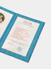 Сувенирный подарочный  "Диплом любящего и чуткого сына", (ламинированный)