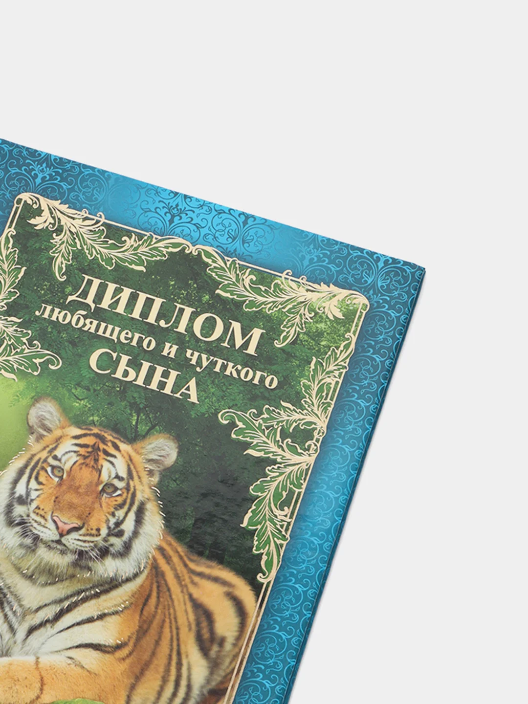 Сувенирный подарочный  "Диплом любящего и чуткого сына", (ламинированный)