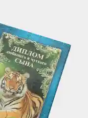 Сувенирный подарочный  "Диплом любящего и чуткого сына", (ламинированный)