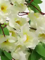 Белый искуственные цветы Сакура, декор для дома