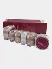 Мини-набор минеральной декоративной косметики GiL