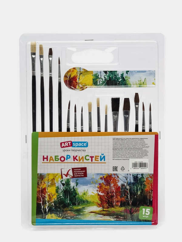 Набор кистей ArtSpace, 15 штук, пони, щетина, плоские, круглые, блистер