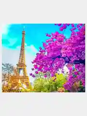Коралловый картины по номерам на холсте Набор для рисования New World