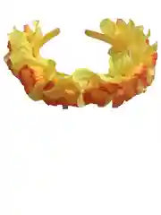 Ободки цветы