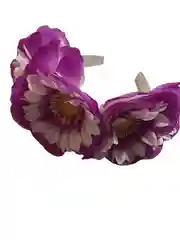 Аметистовый ободки цветы