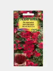 Пеларгония Шарлотта (семена,цветы)