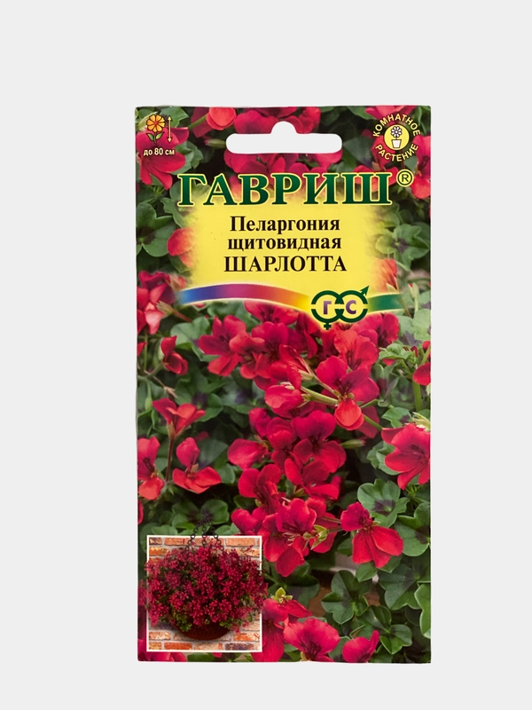 Пеларгония Шарлотта (семена,цветы)