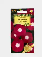 Катарантус Пацифика бургундия (семена,цветы)