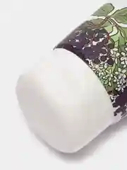 Ecolatier Гель для лица очищающий Organic Sambuca 100 мл