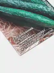 Огурец Китайский болезнеустойчивый (семена)