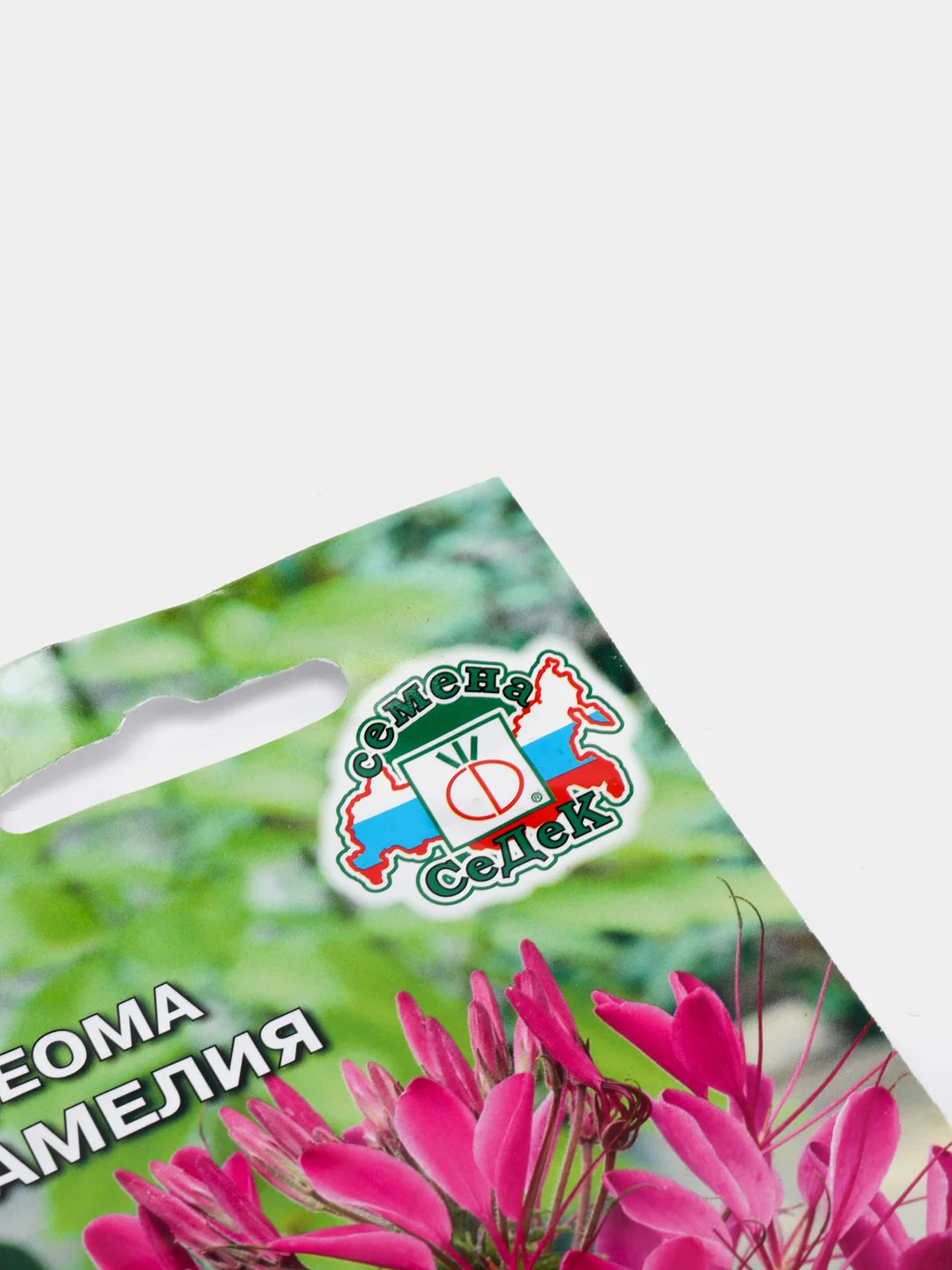 Семена цветов Клеома "Камелия"
