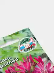 Семена цветов Клеома "Камелия"