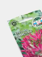 Семена цветов Клеома "Камелия"