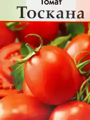 Томат ТОСКАНА (семена)