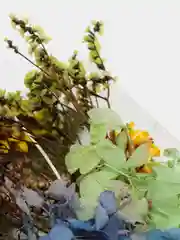 Морской сухоцветы в коробе, 17 х 12 х 3 см