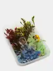 Морской сухоцветы в коробе, 17 х 12 х 3 см