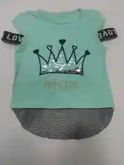 Футболка с вышивкой, мятная