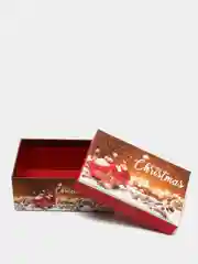 Коралловый меланж коробка подарочная новогодняя
