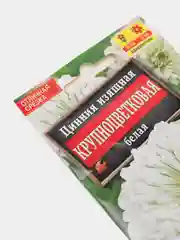 Цинния Крупноцветковая белая