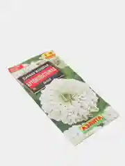 Цинния Крупноцветковая белая