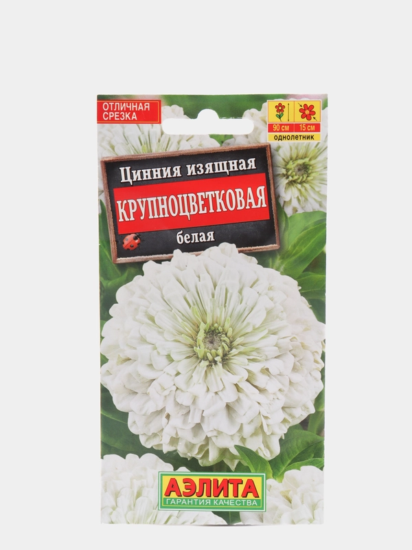 Цинния Крупноцветковая белая