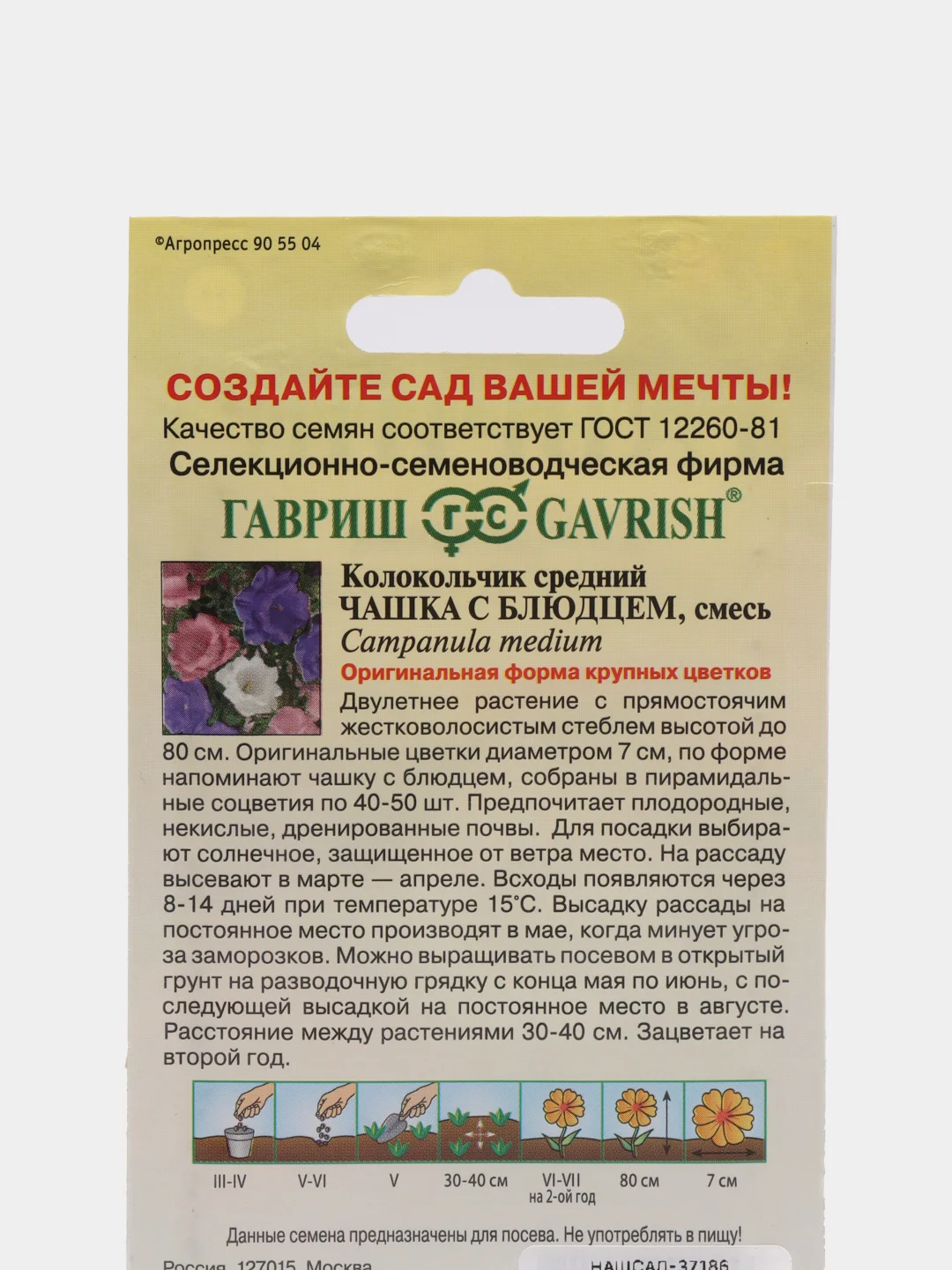 Семена Колокольчик средний "Чашка с блюдцем"
