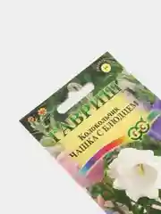 Семена Колокольчик средний "Чашка с блюдцем"