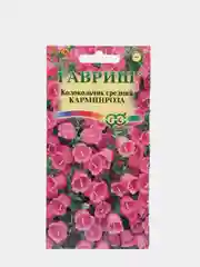 Семена Колокольчик средний "Карминроза"