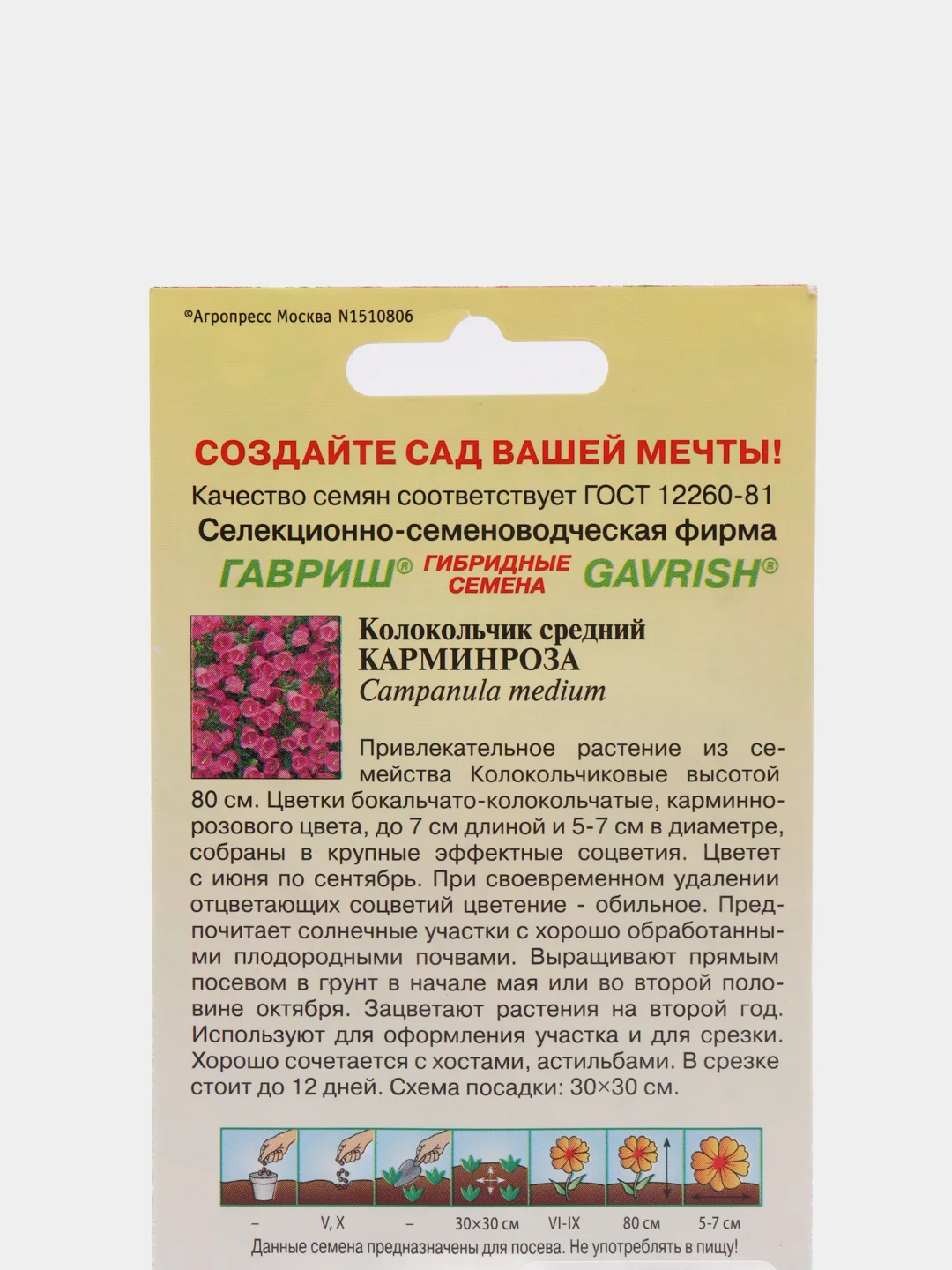 Семена Колокольчик средний "Карминроза"