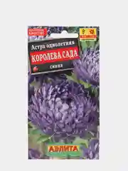 Семена Астра "Королева сада" синяя
