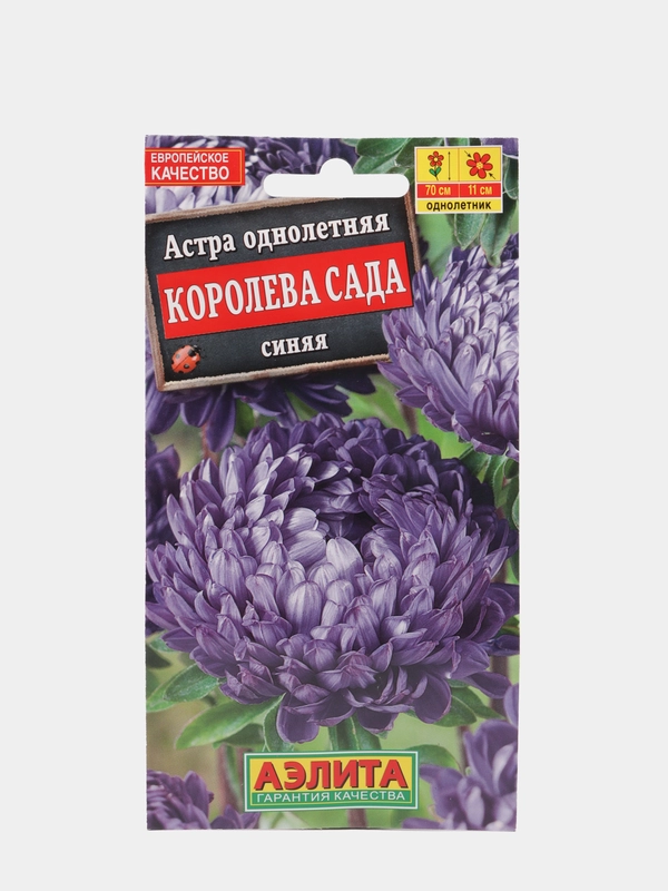 Семена Астра "Королева сада" синяя