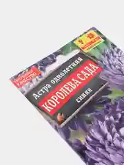 Семена Астра "Королева сада" синяя