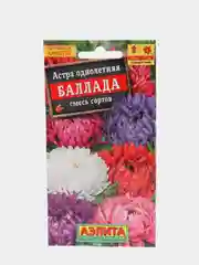 Астра Баллада, смесь сортов