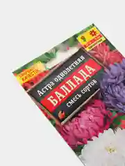 Астра Баллада, смесь сортов