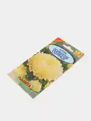 Семена Астра "Золотое солнце"