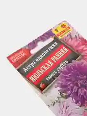 Семена Астра "Июльская ранняя" смесь сортов