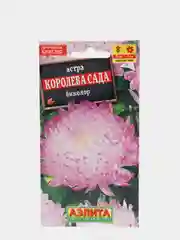 Семена Астра "Королева сада биколор"