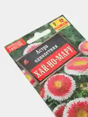 Семена Астра помпонная (набор 2 уп) "Хай-но-мару"