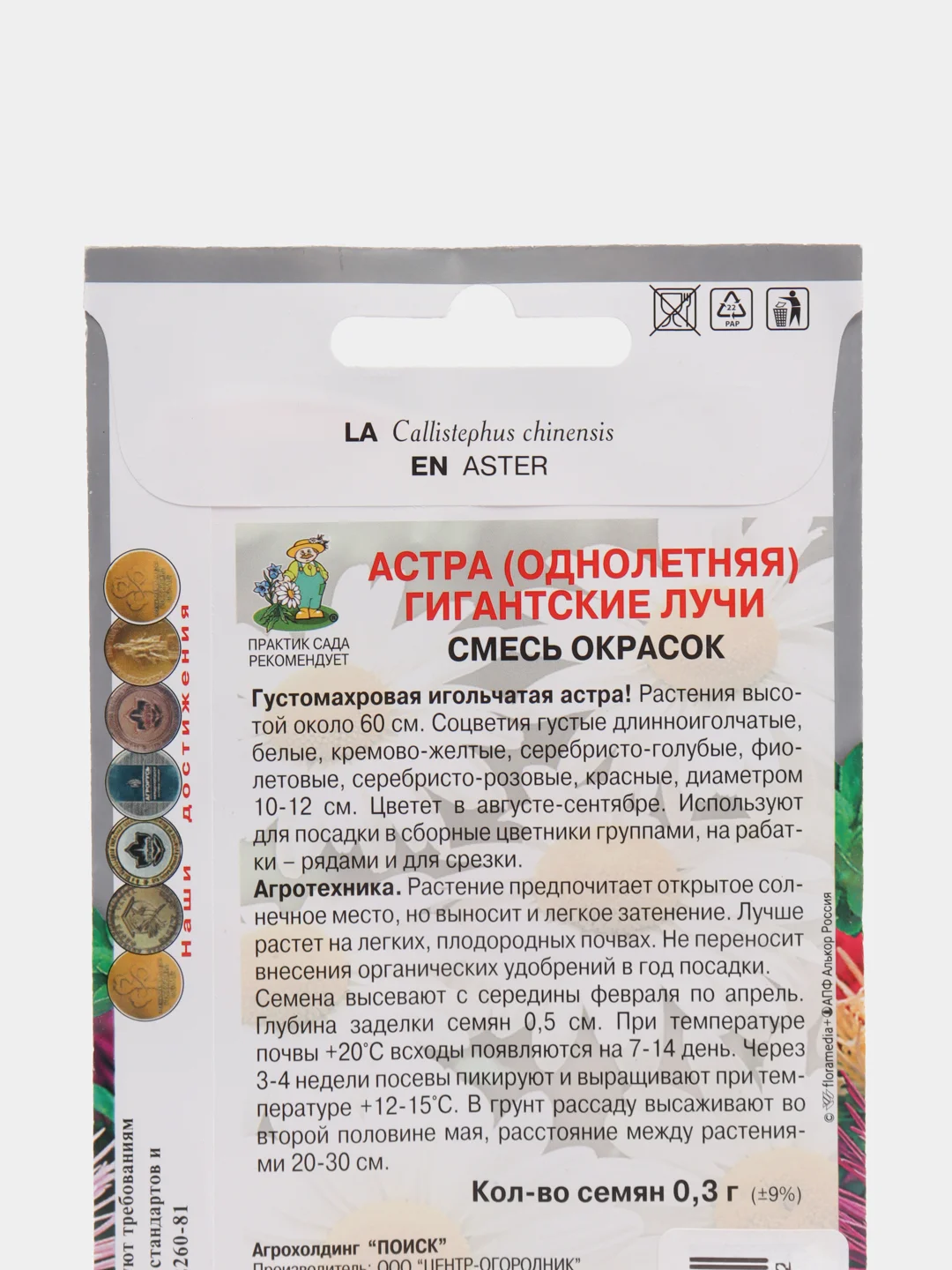 Семена Астра Гигантские лучи смесь окрасок