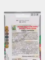 Семена Астра Гигантские лучи смесь окрасок
