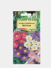 Семена Астра альпийская "Витраж"